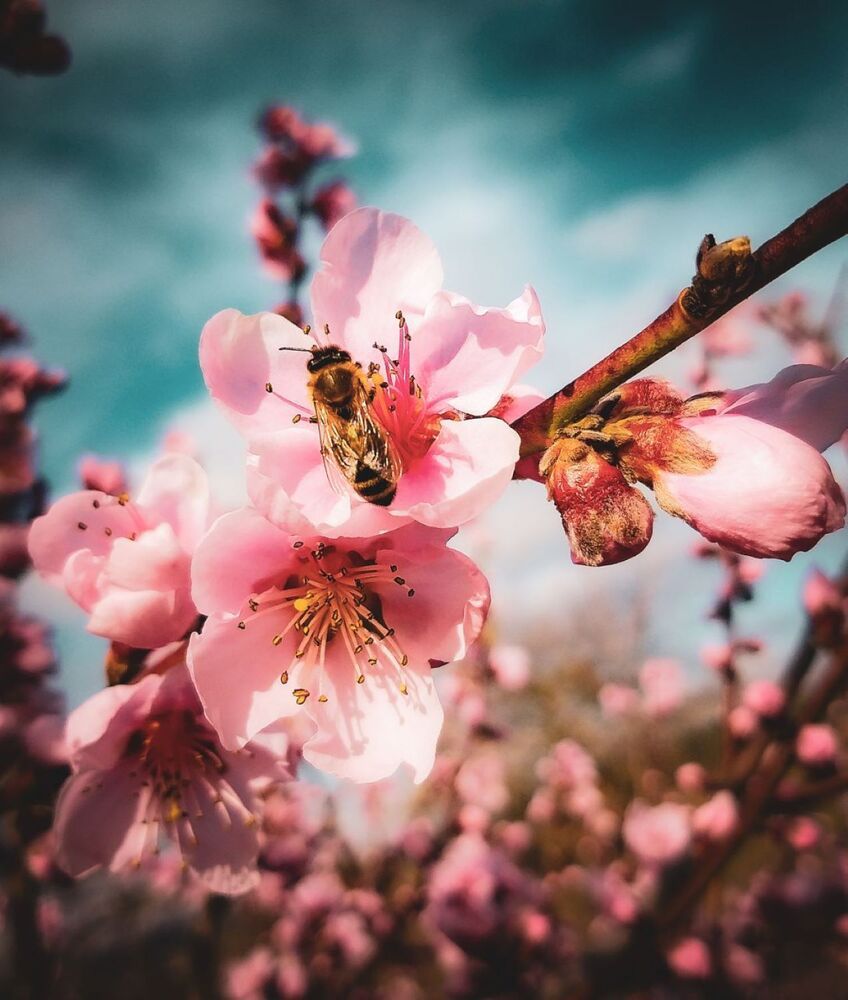 Photograph by Валентина Сабий