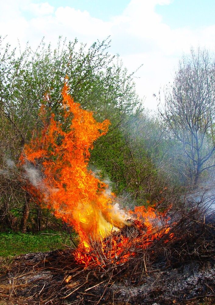 Photograph by Николай Худяков