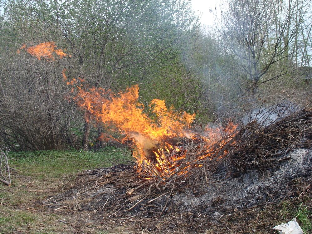 Photograph by Николай Худяков