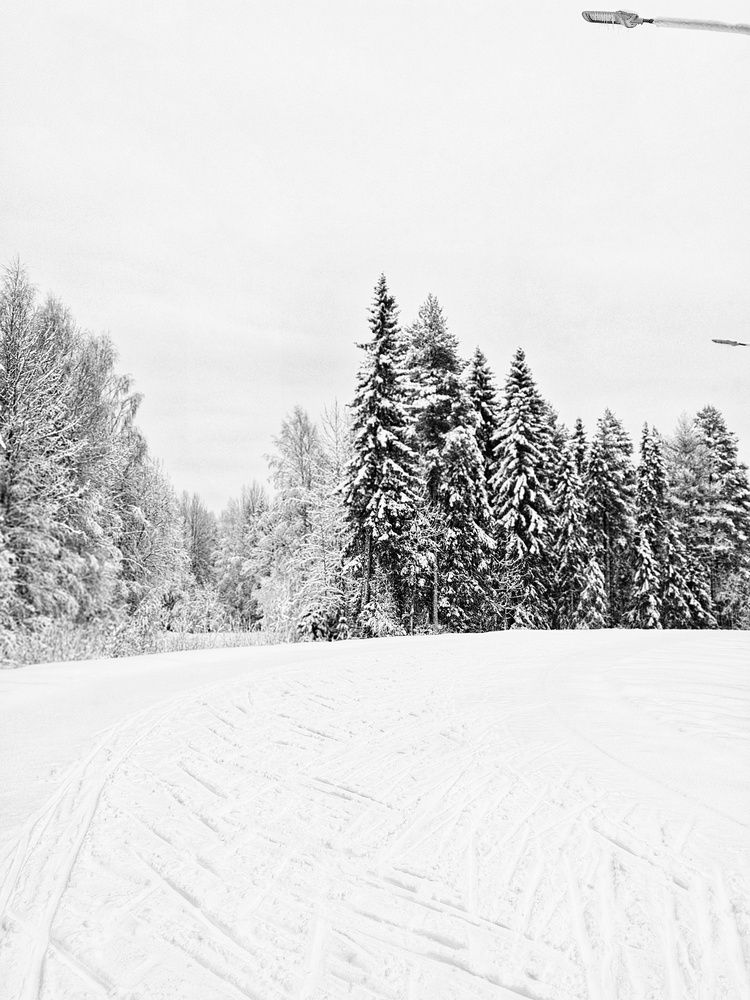 Photograph by Ирина Лучинская