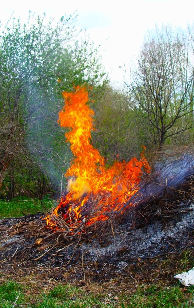 Photograph by Николай Худяков