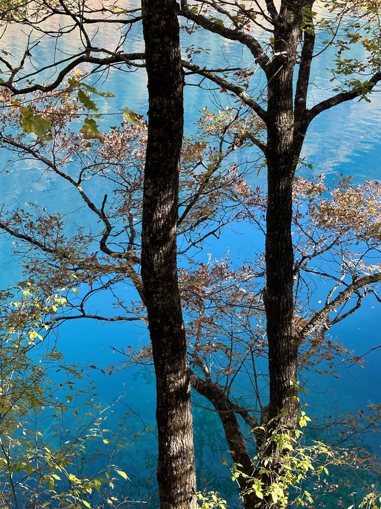 Фотография автора Наталья Кузьмина