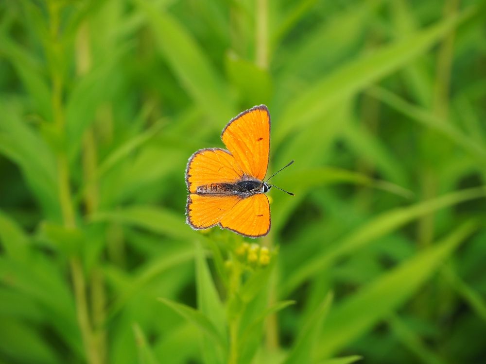 Photograph by Николай