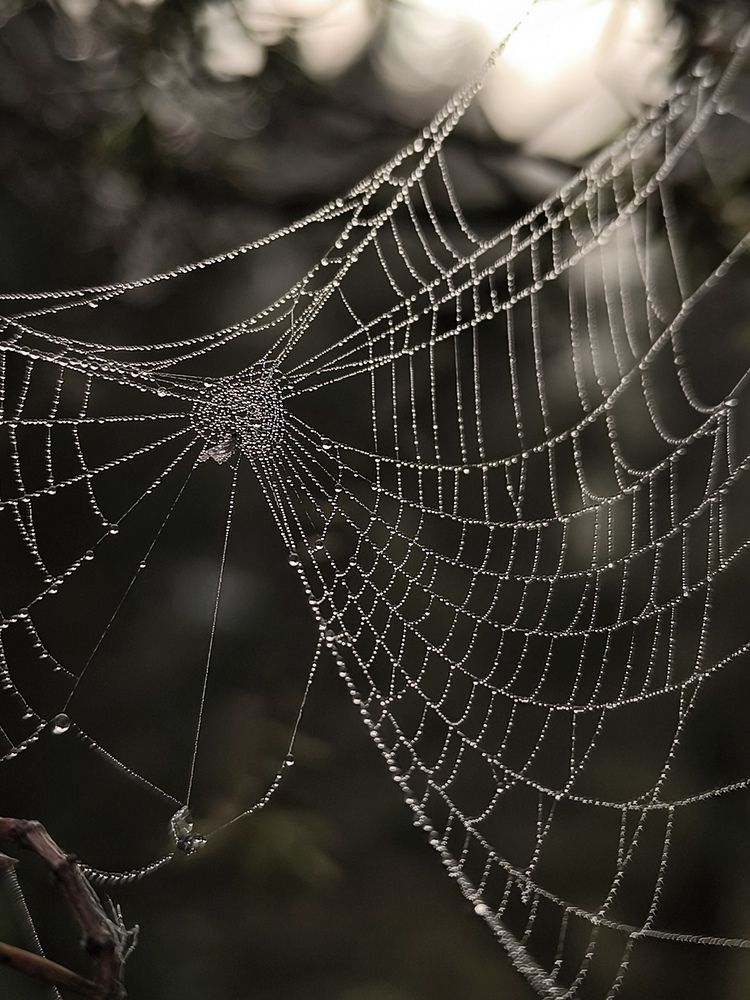 Photograph by Катрина Покумейко