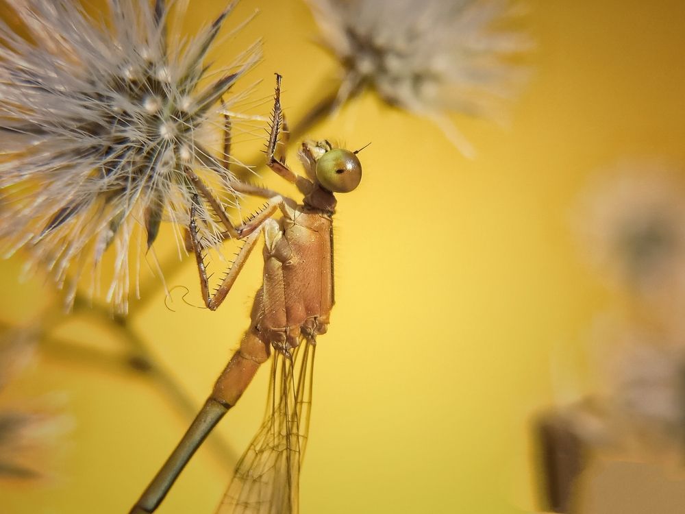 Photograph by Souvik Bhattacharyya