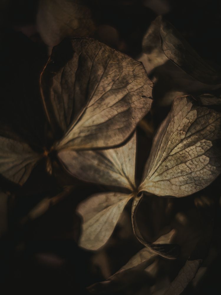 Фотография автора Ольга Гринченко