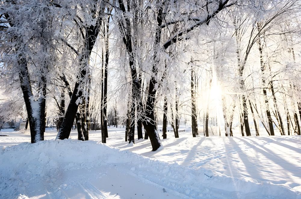 Photograph by Евгений Николаенков