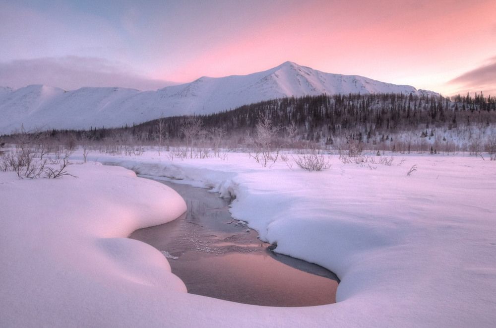 Photograph by Добролюбова Тамара