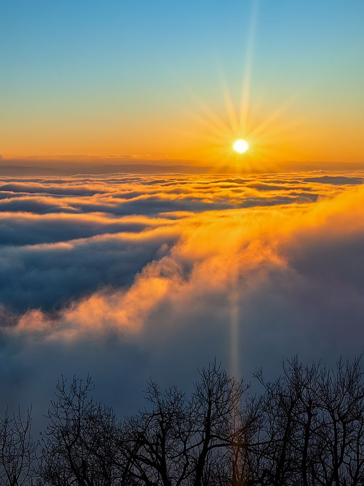 Photograph by Igor M.