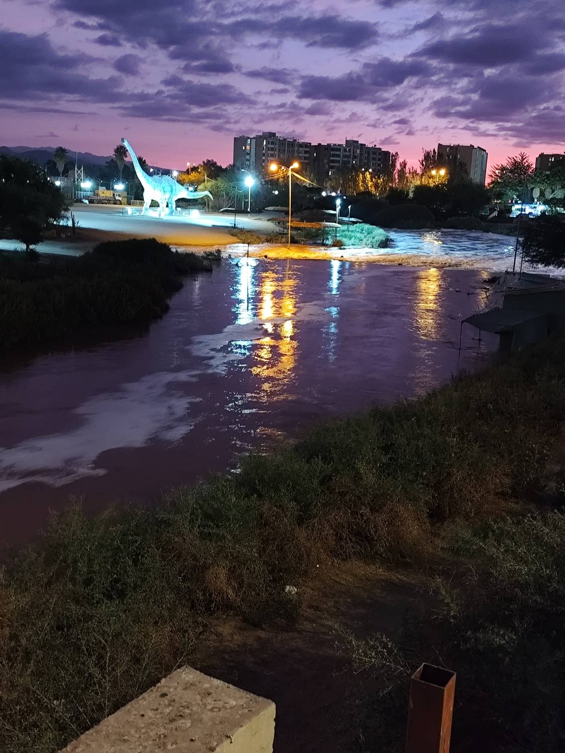 Photo #11907473