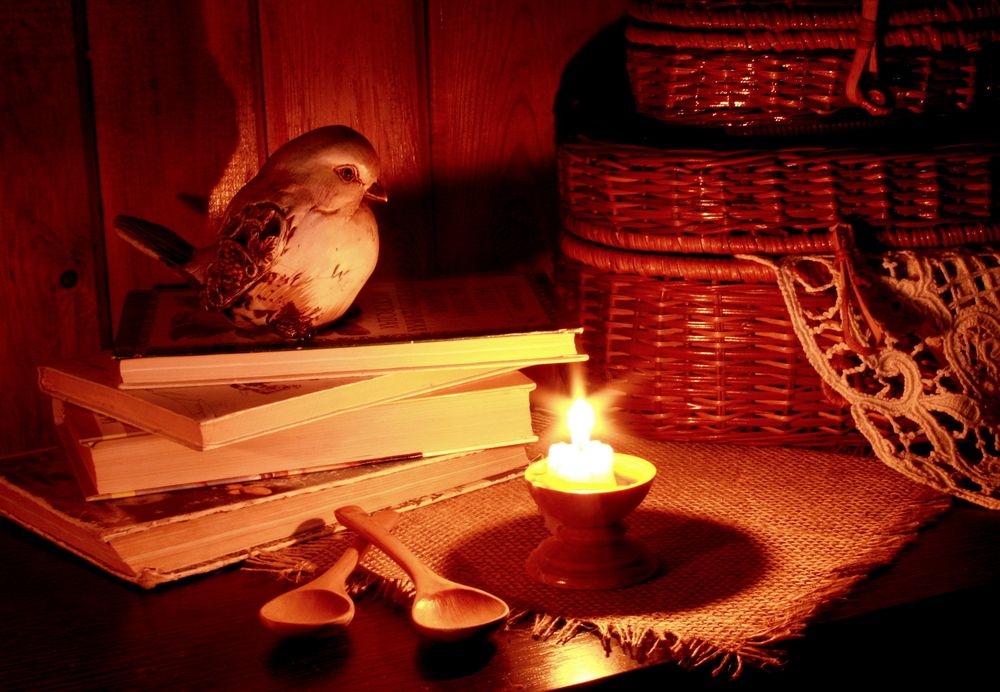 Фотография автора Nelya  Lysenko