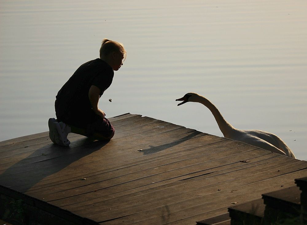 Диалог по душам