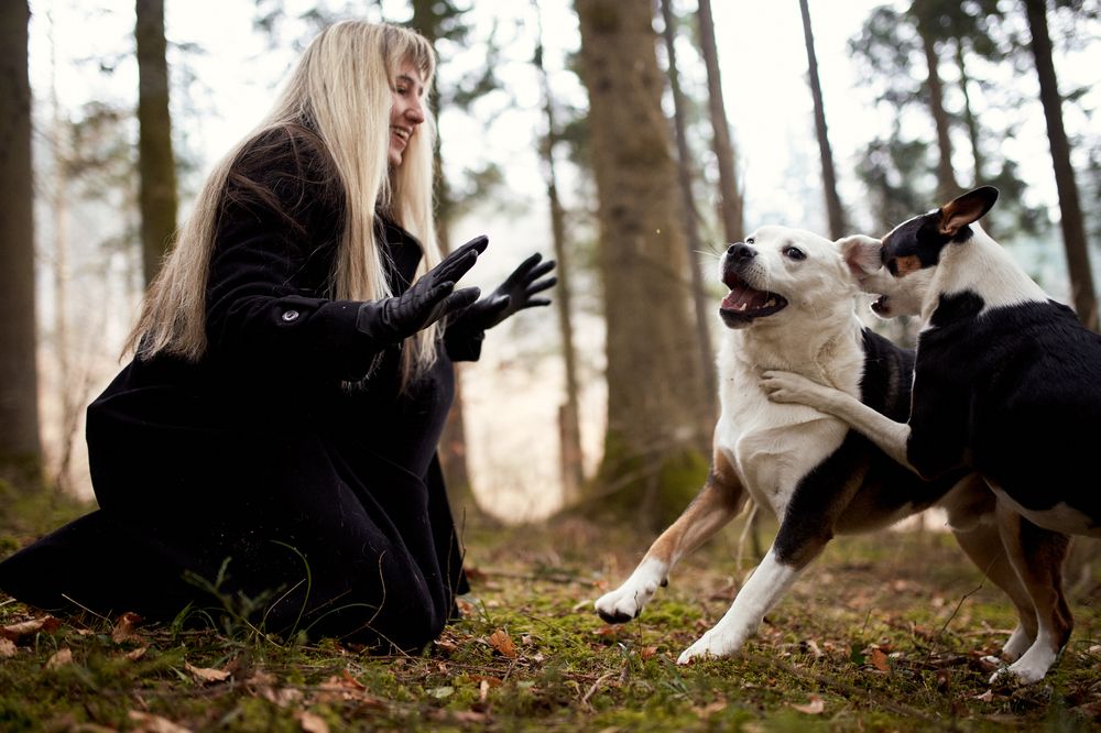 Photograph by Tjaša Završnik