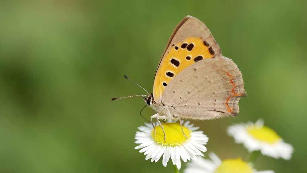 Photograph by Наталья Лобанова