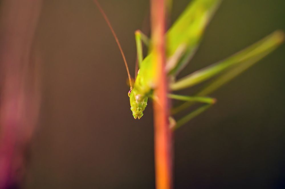 Photograph by Евгений Николаенков