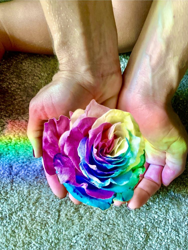 Flor,mão,cores ,raios de sol.