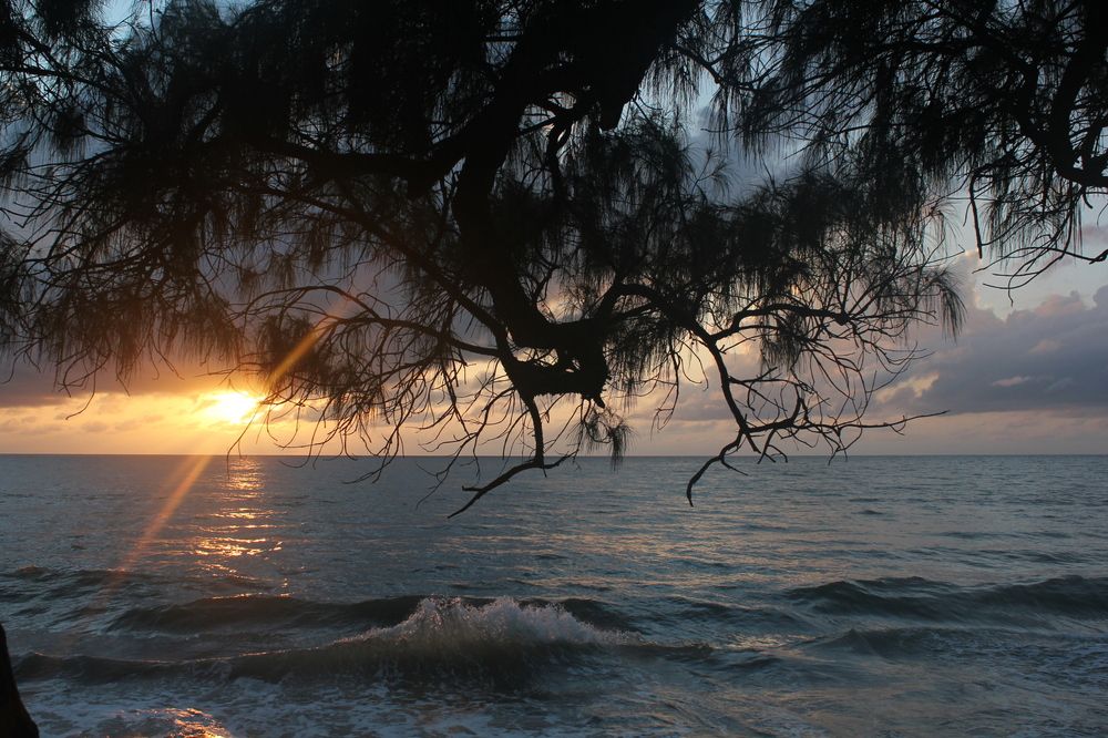 Photograph by CRINALDO REIS