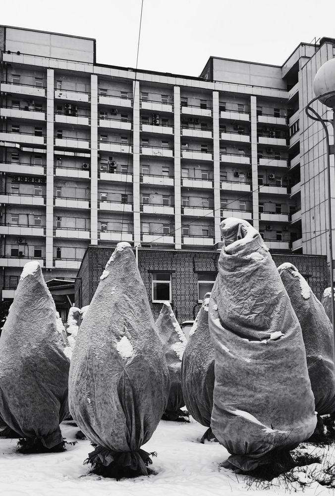 Photograph by Елена Юдина