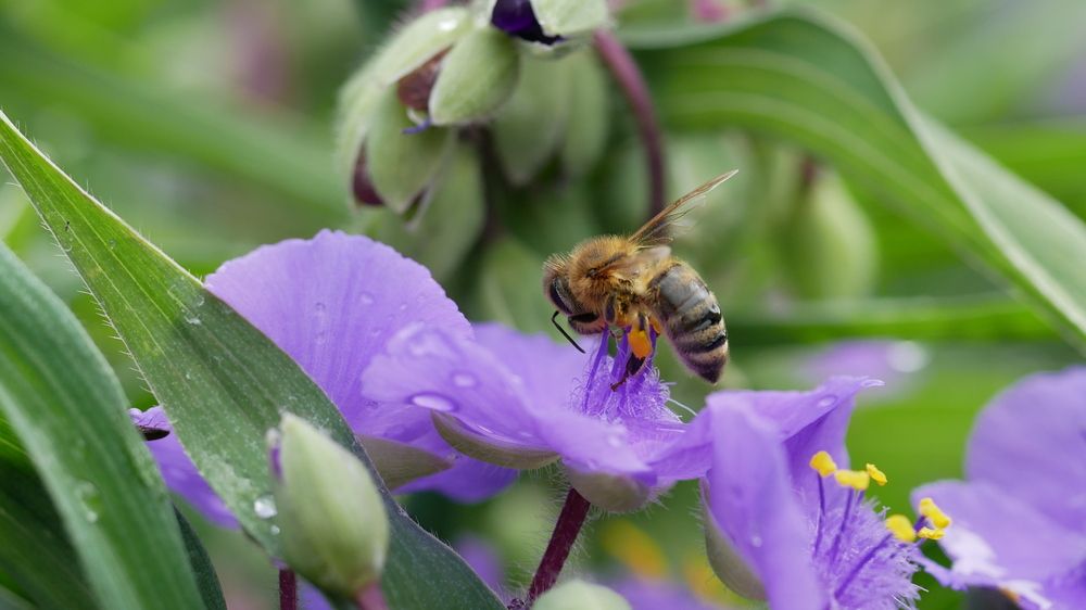 Photograph by Наталья Лобанова