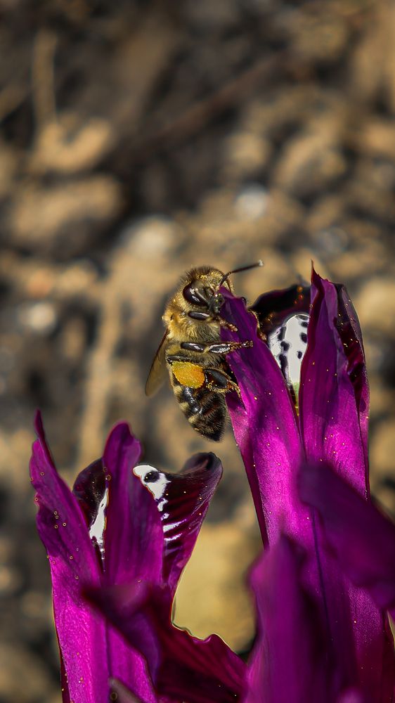 Photograph by Даниил Сырбу