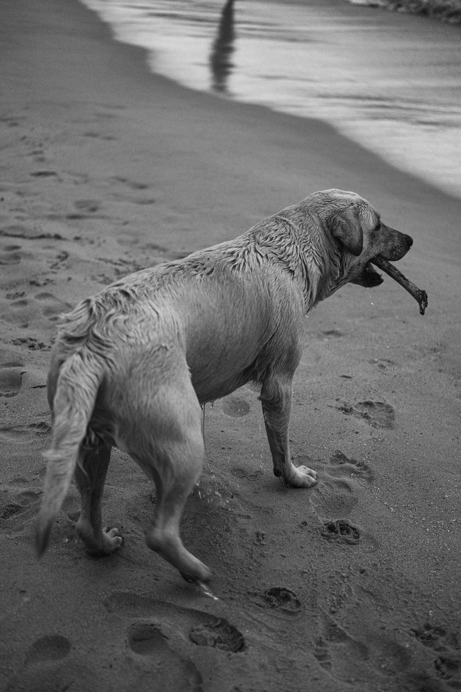 Photograph by Юлиан Лычангин