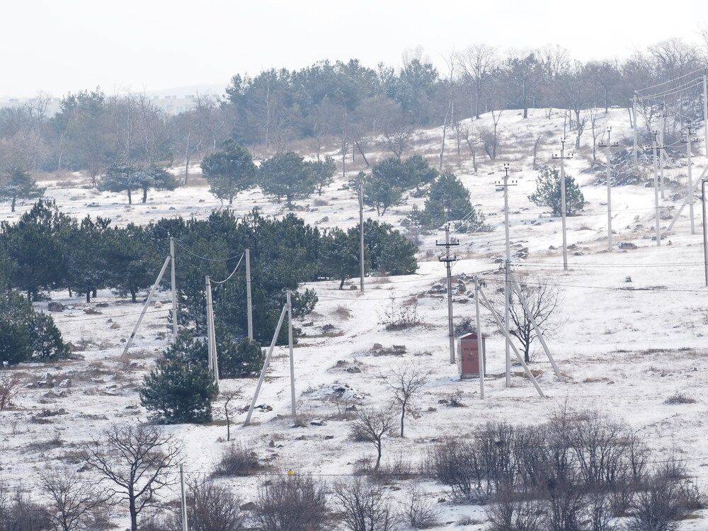 Photograph by Сергей Борисов