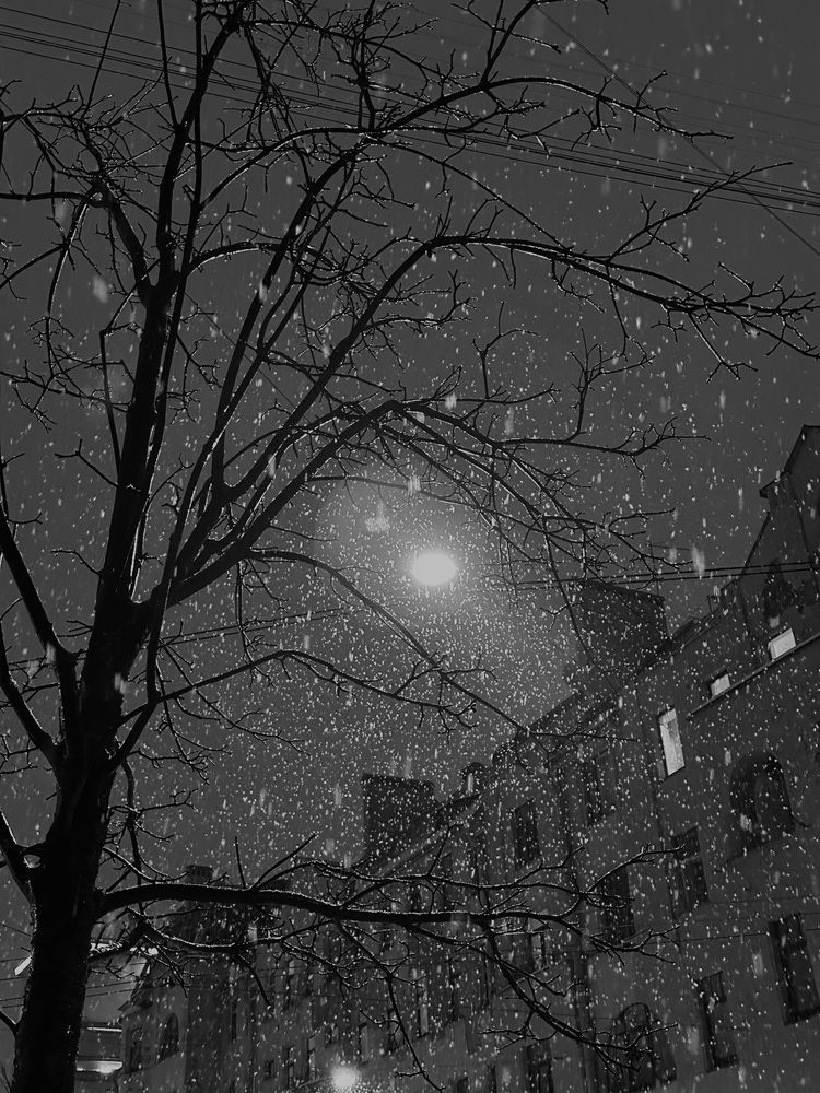 Фотография автора Natalia Kuzmina