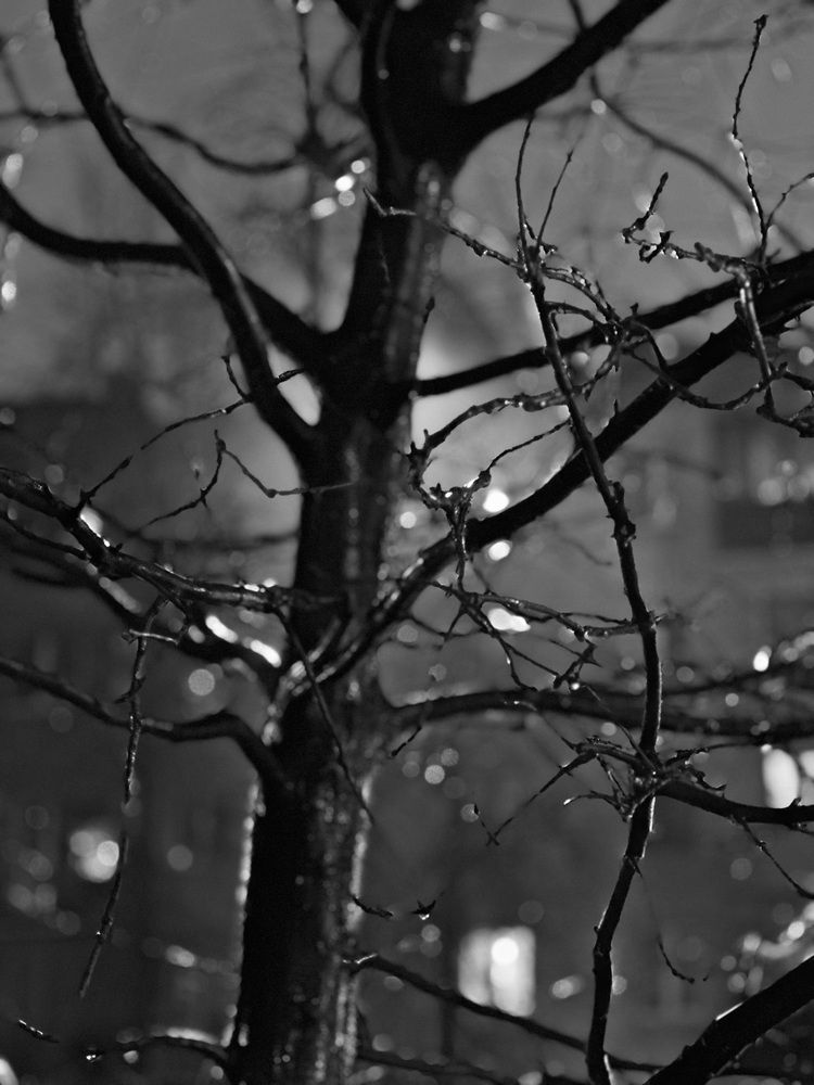 Фотография автора Natalia Kuzmina