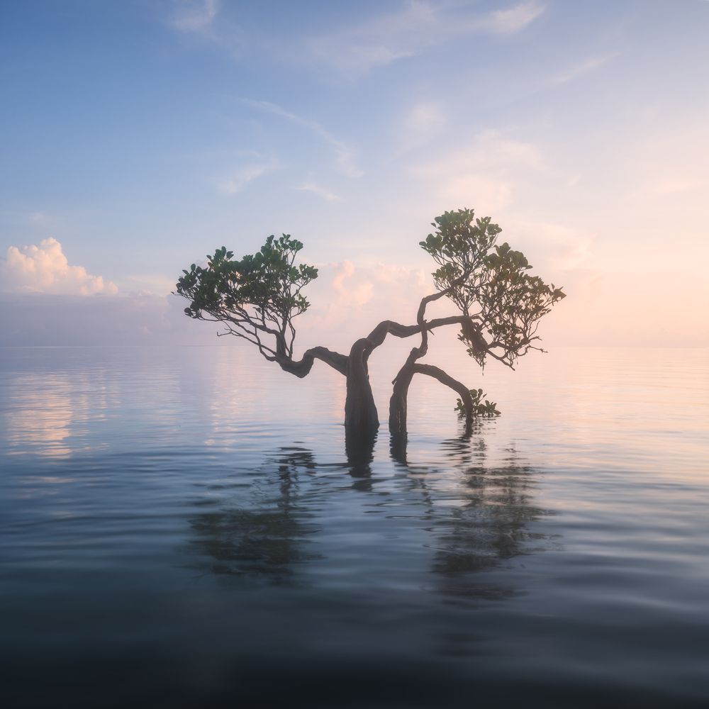 Photograph by Екатерина Сысоева