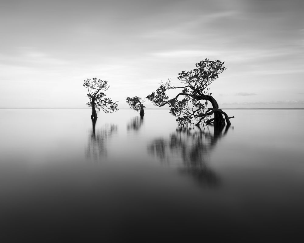 Photograph by Екатерина Сысоева