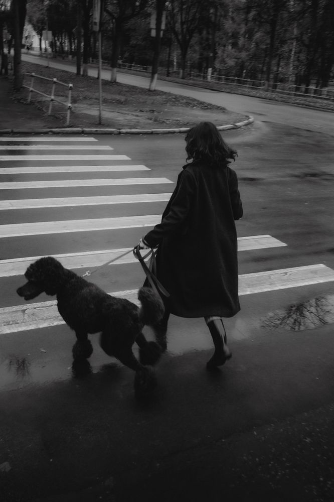 Лиза и Харли