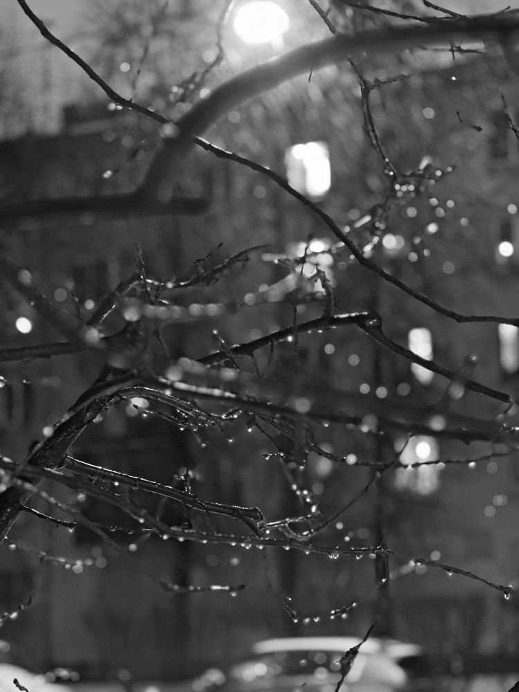 Фотография автора Natalia Kuzmina