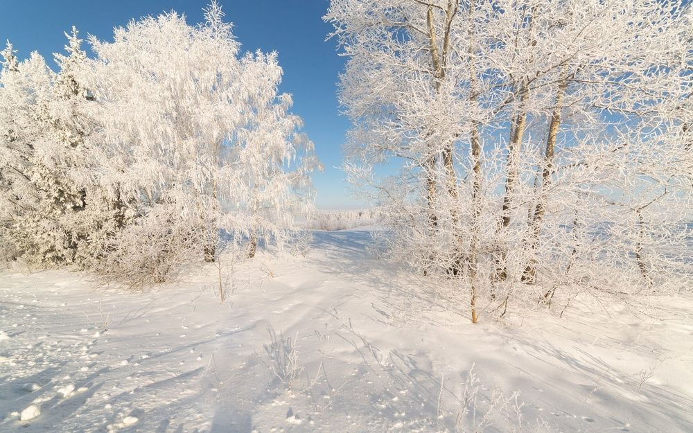Фотография автора Михаил Назаров