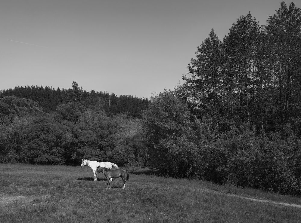 Photograph by Vladimir Frolov