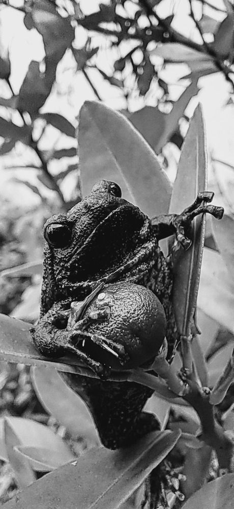 Photograph by FELOMINA ENDEREZ