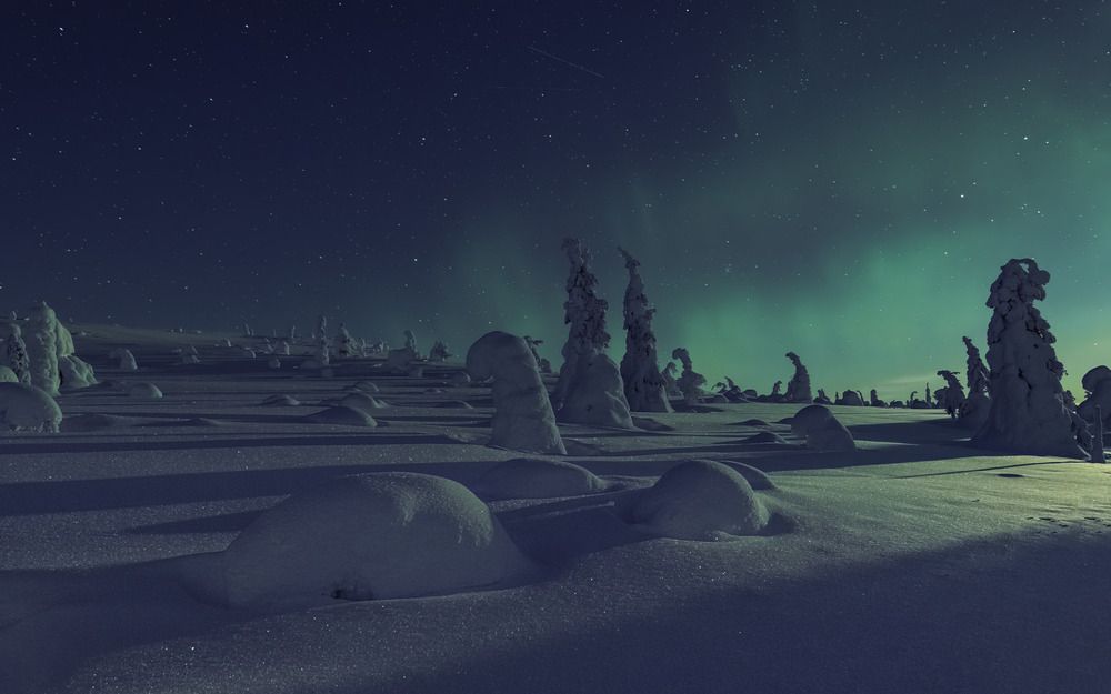 Зеленый снег