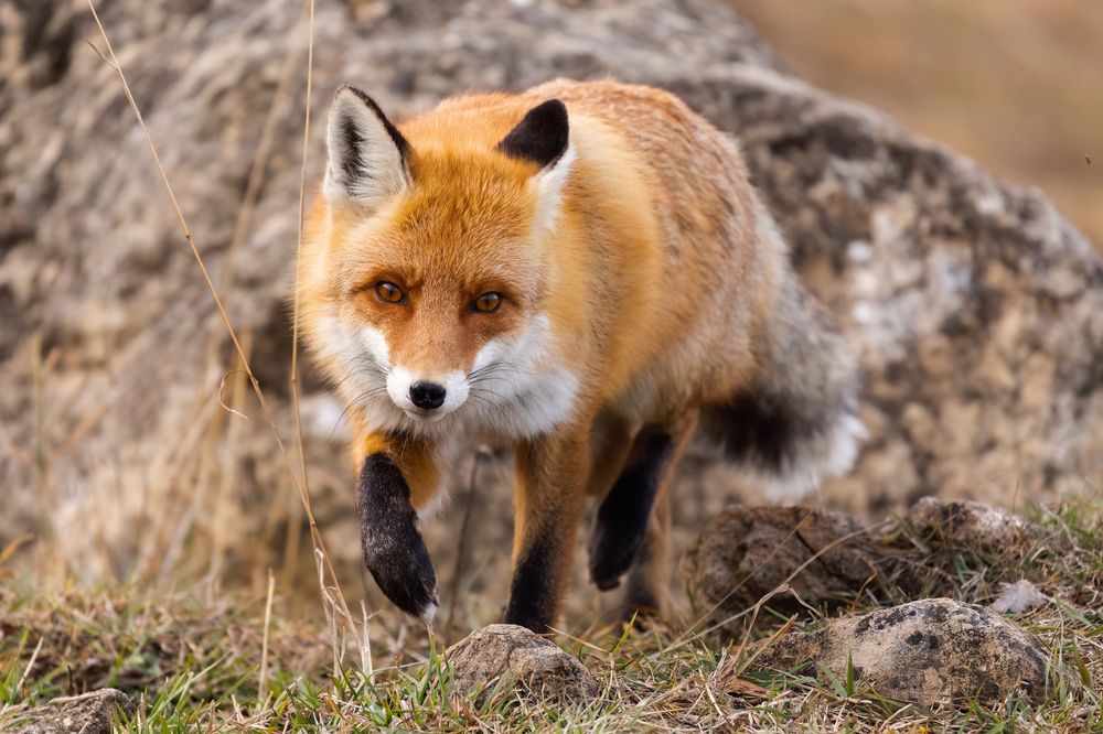 Photograph by Константин Шатилов