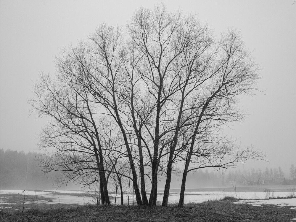 Фотография автора Александр Довганюк
