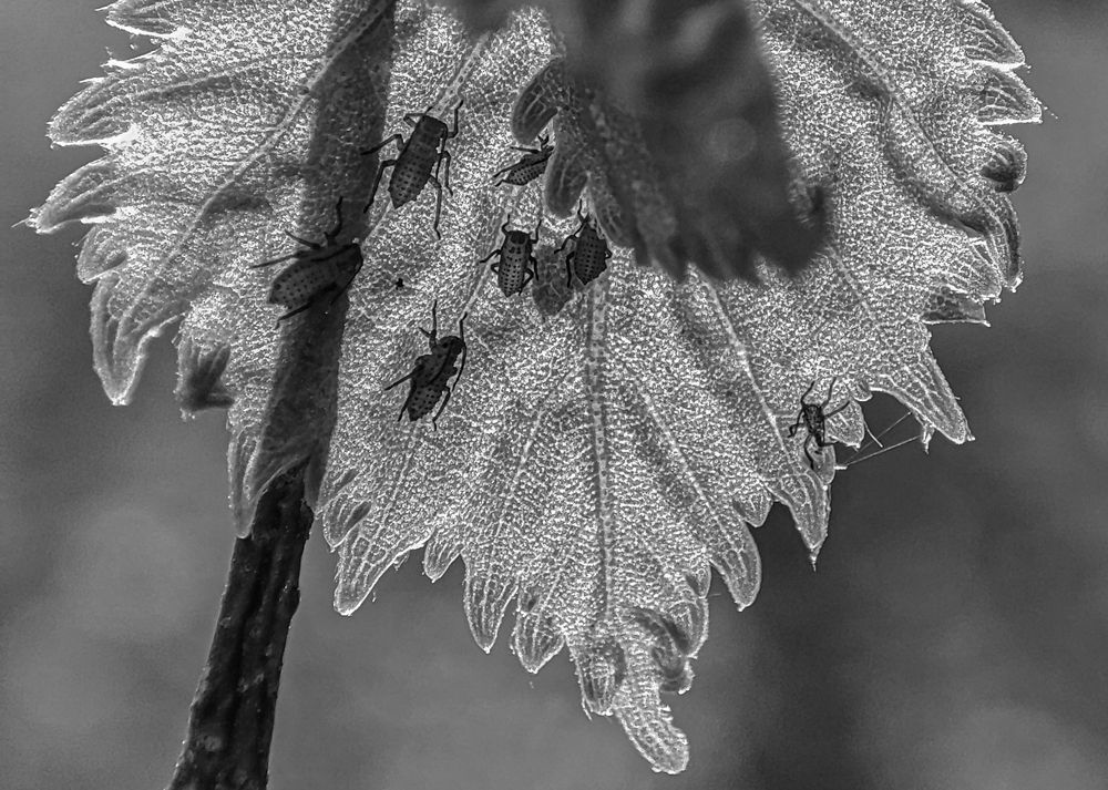 Фотография автора Александр Довганюк