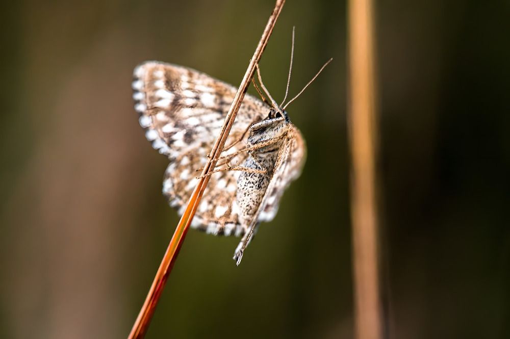 Photograph by Евгений Николаенков