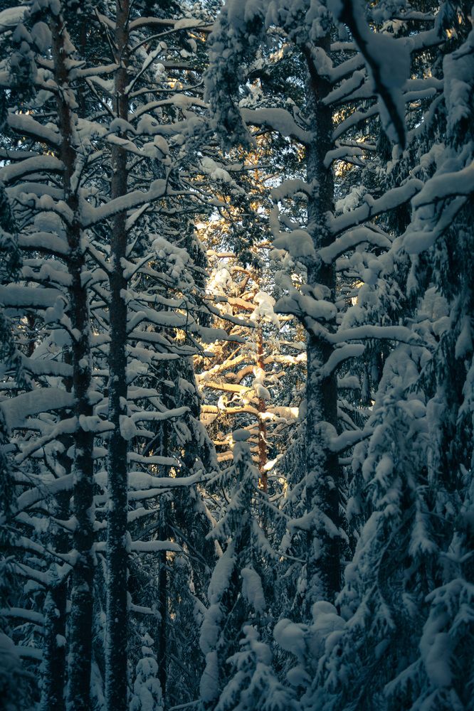 Photograph by Sergey Larionov