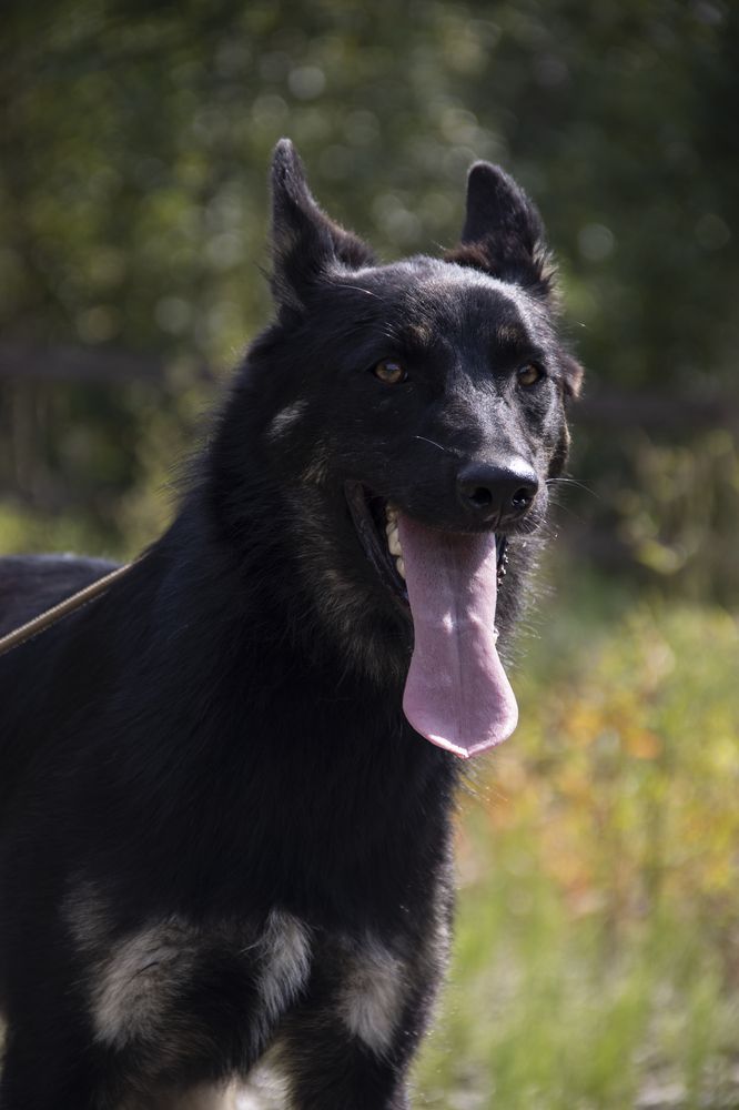 Photograph by Елена Попова