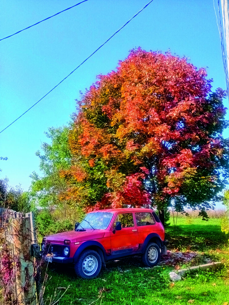 Photograph by Елена Жаркина