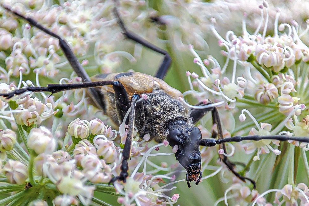 Фотография автора Александр Довганюк