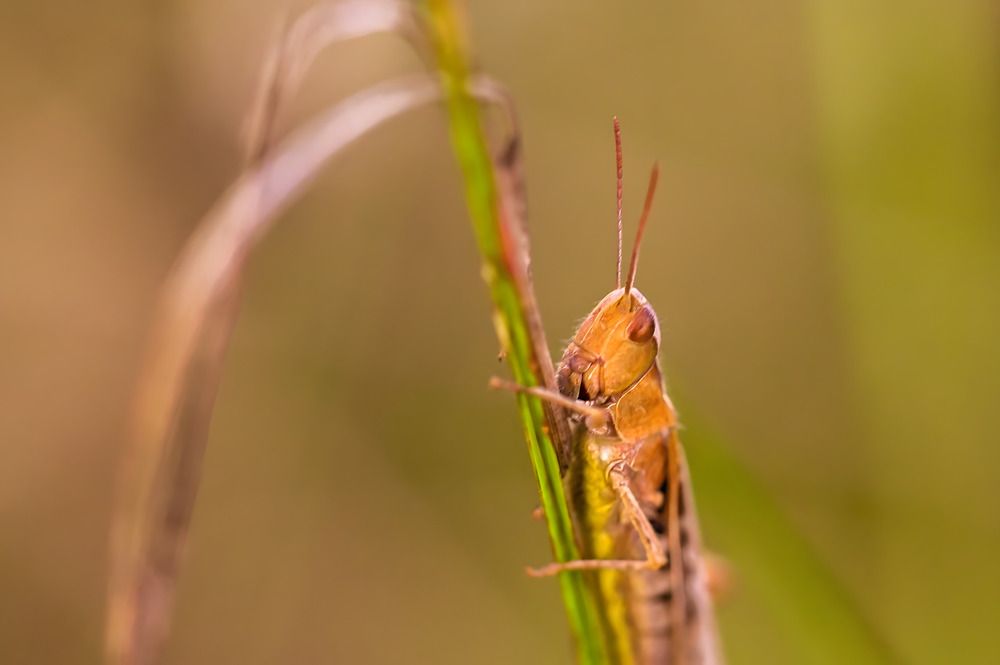 Photograph by Евгений Николаенков