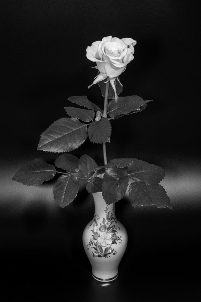 Фотография автора Михаил Мазлоев