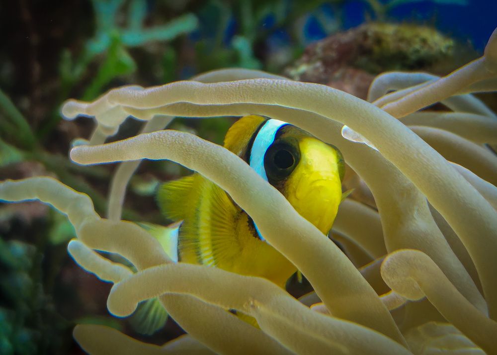 Photograph by Татьяна Шевченко