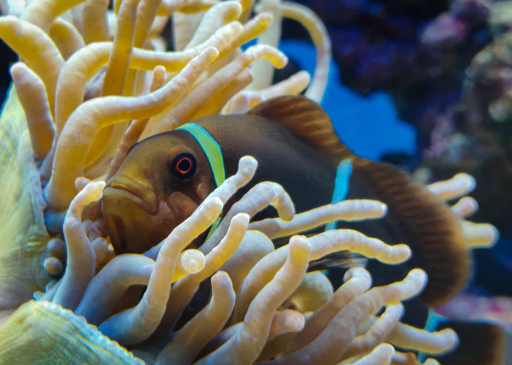 Photograph by Татьяна Шевченко