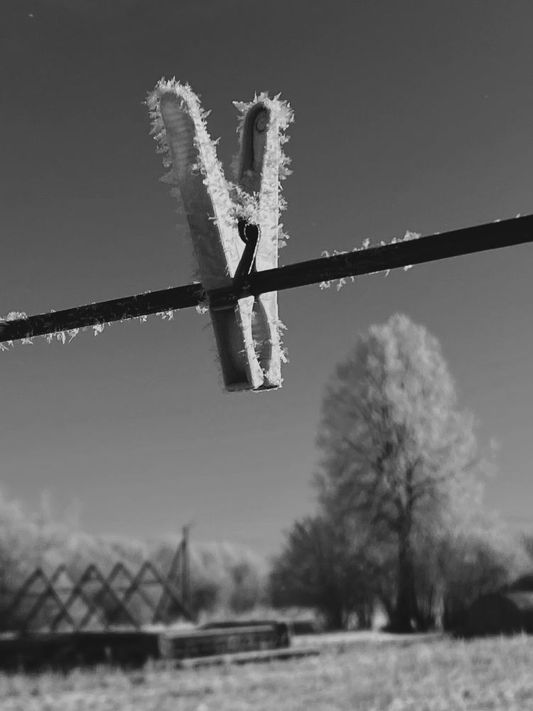 Photograph by Светлана Долганова