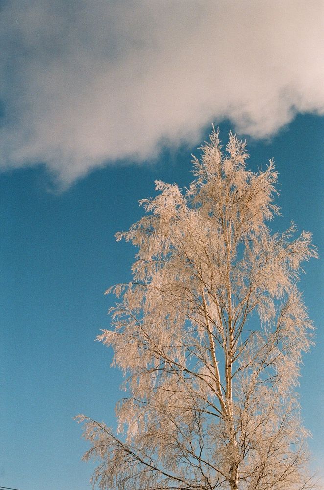 Photograph by Юлия Фомина